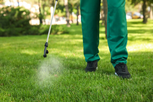 Best Pest Removal Services  in , DE