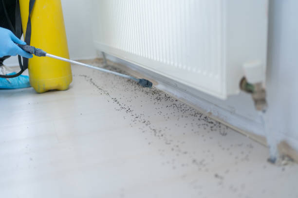  , DE Pest Control Pros